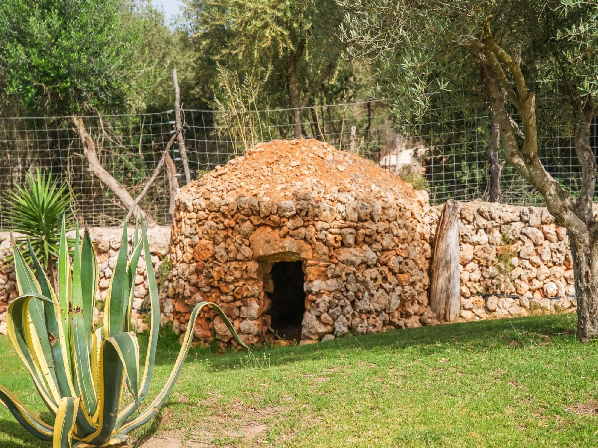 Traditional In Mallorcan Countryside