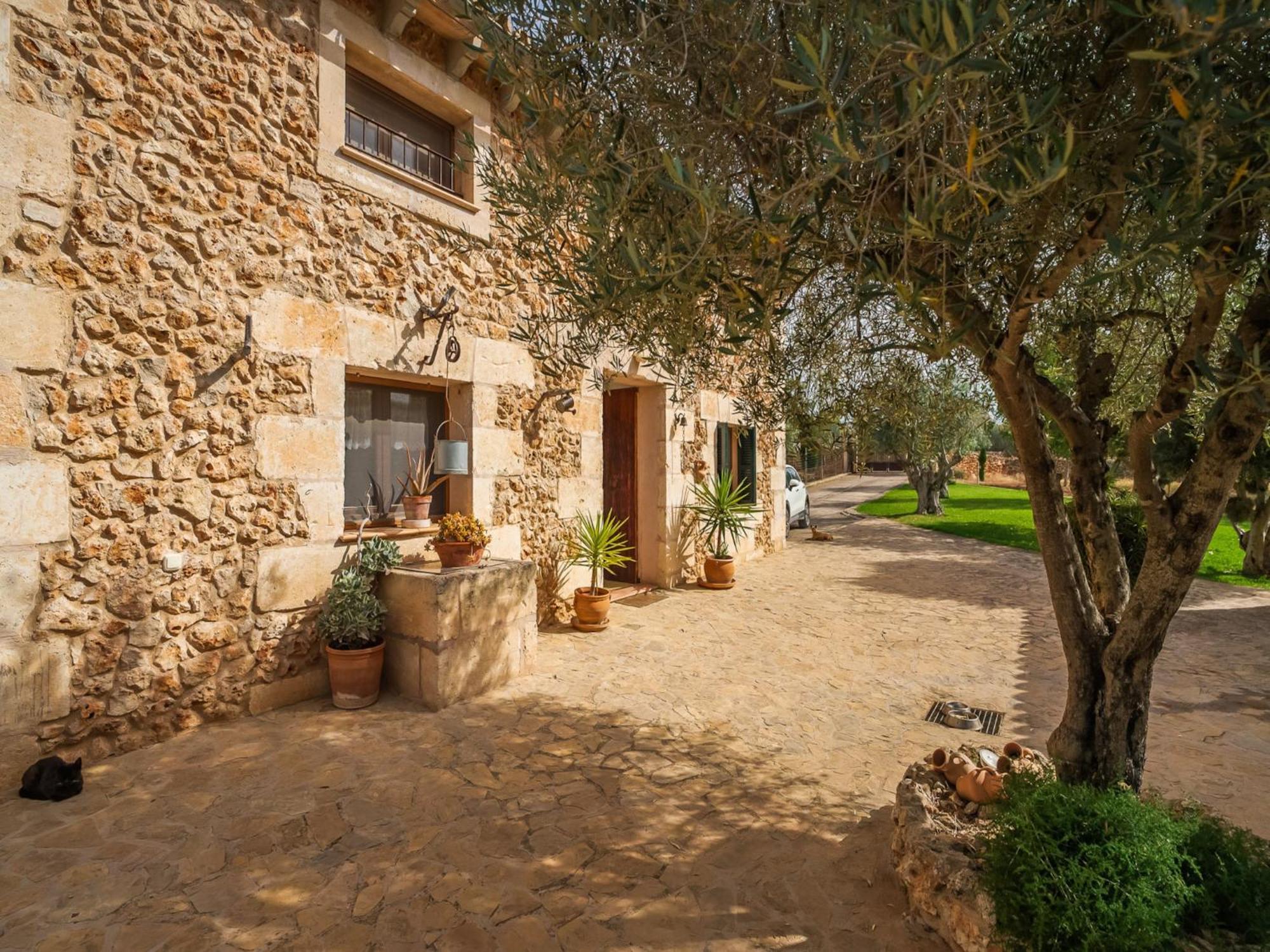 Traditional In Mallorcan Countryside